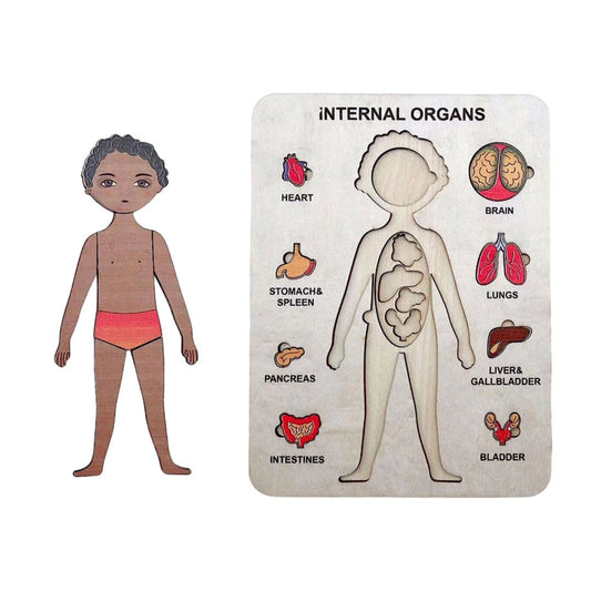 BodyWise | Opdag kroppen - Anatomisk puslespil